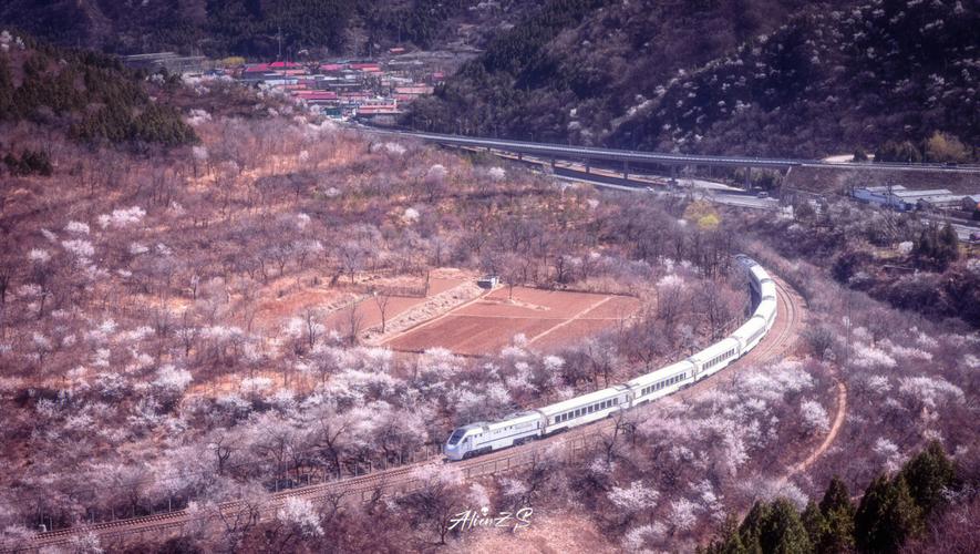 湖南省桃源有北京的火车吗