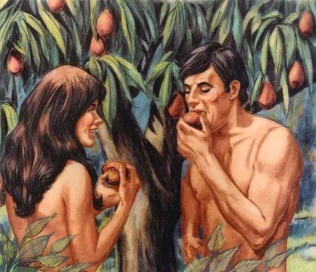 亚当和夏娃的故事是什么