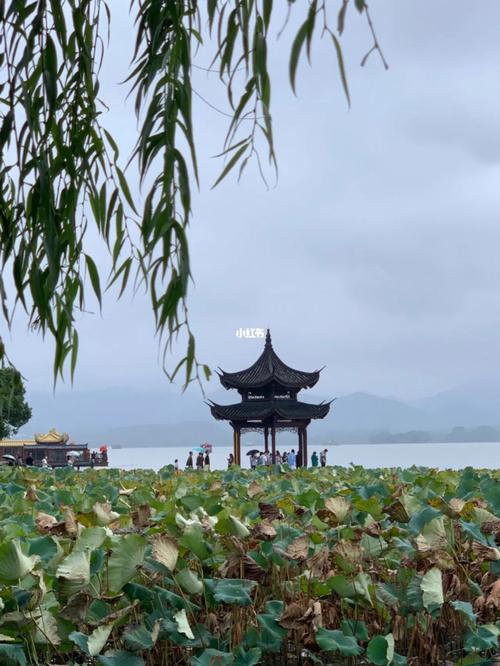 杭州西湖自由行住哪里方便便宜