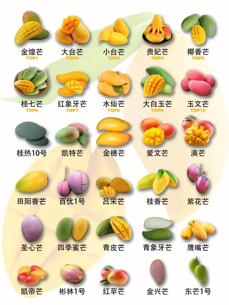 各种芒果的味道和区别