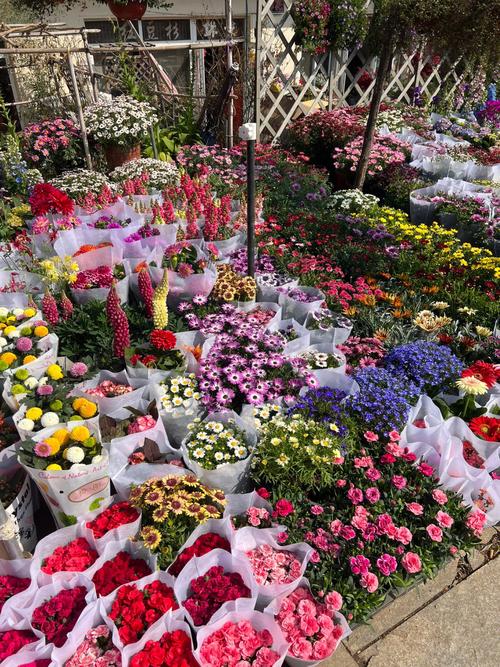 青岛哪几个花卉市场