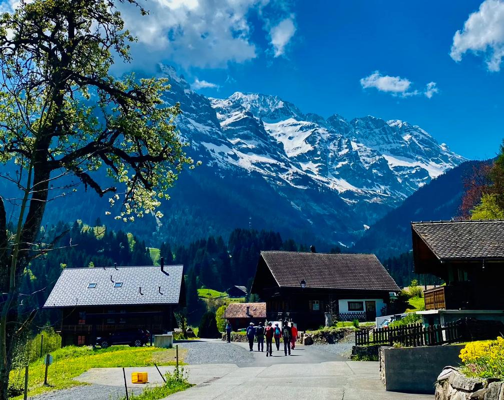 说明阿尔卑斯山对瑞士气候的影响