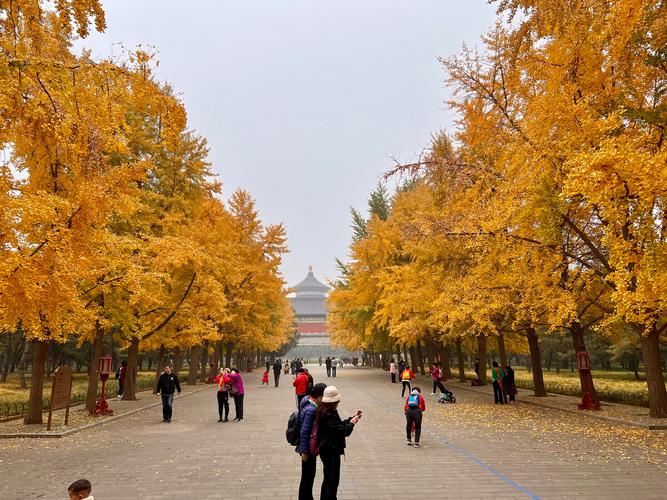 北京秋天值得一去的六个景点