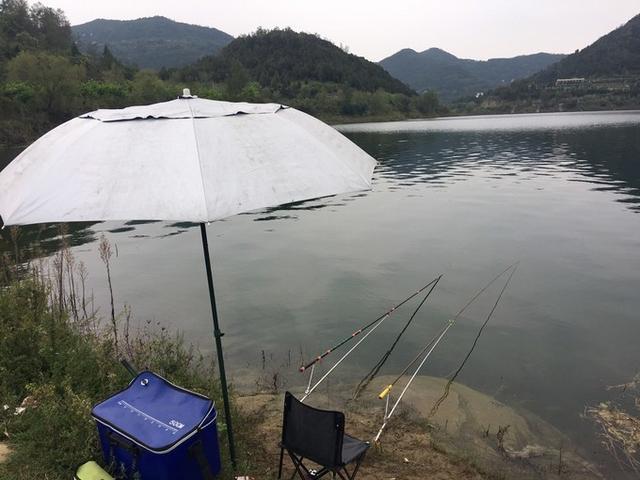 梁子湖龙湾半岛景区可以钓鱼吗