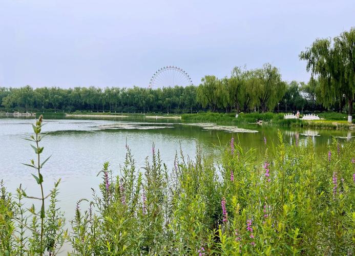 北京西湖公园开放时间