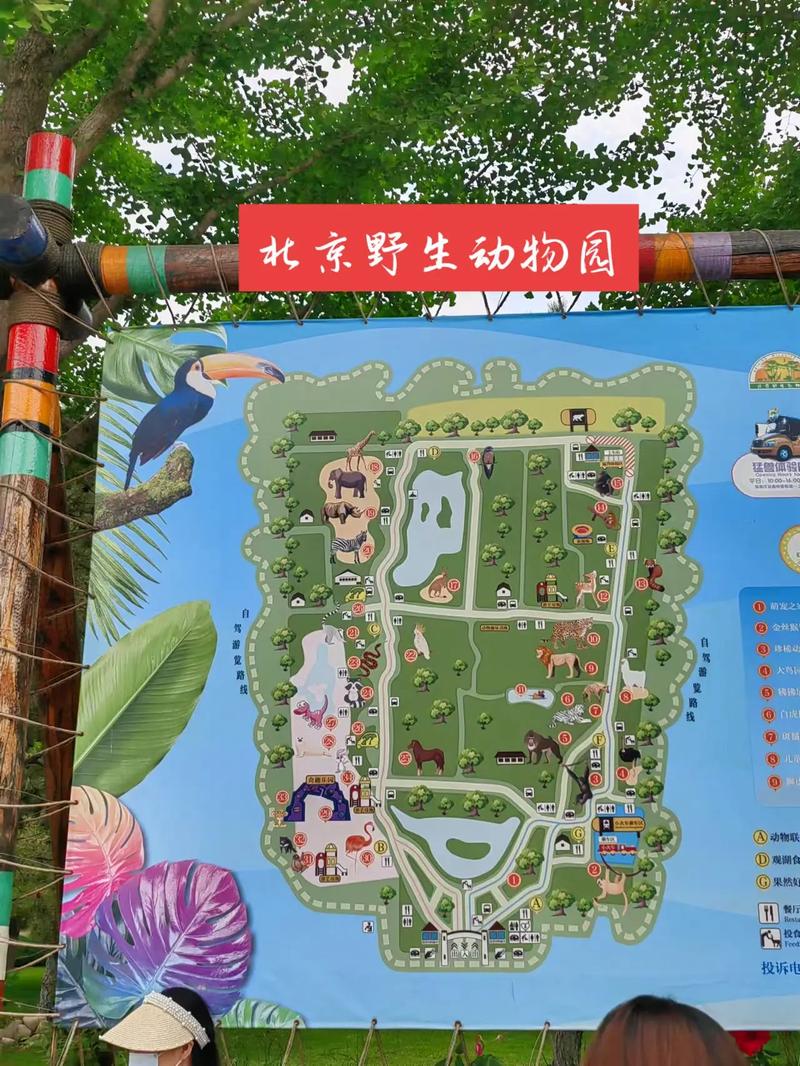 请问 北京动物园春节期间开放吗