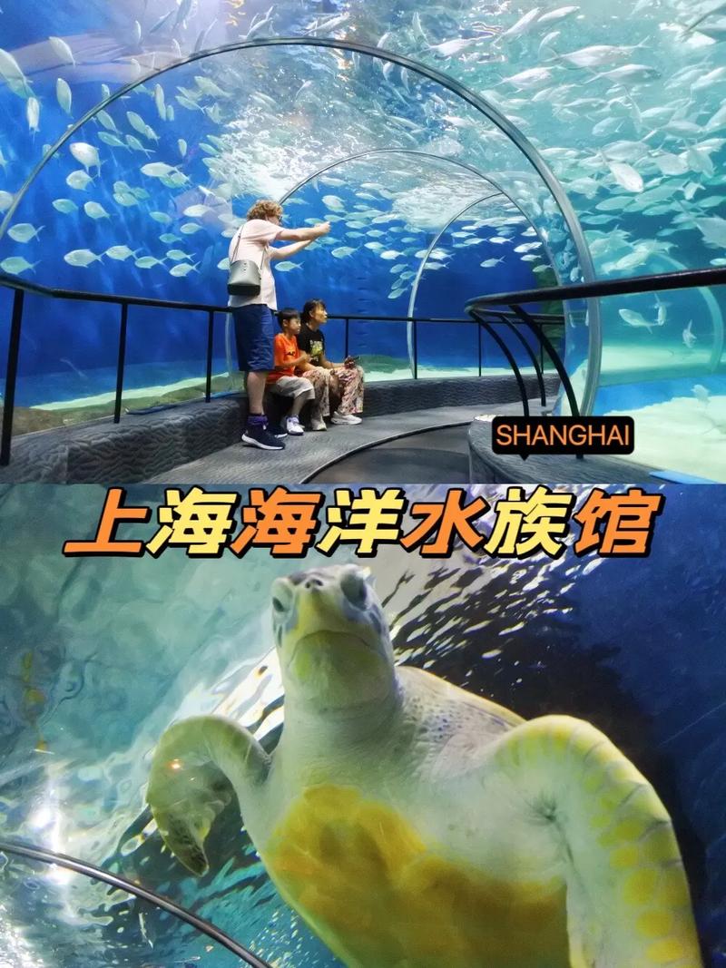 上海海洋馆需要提前预约嘛