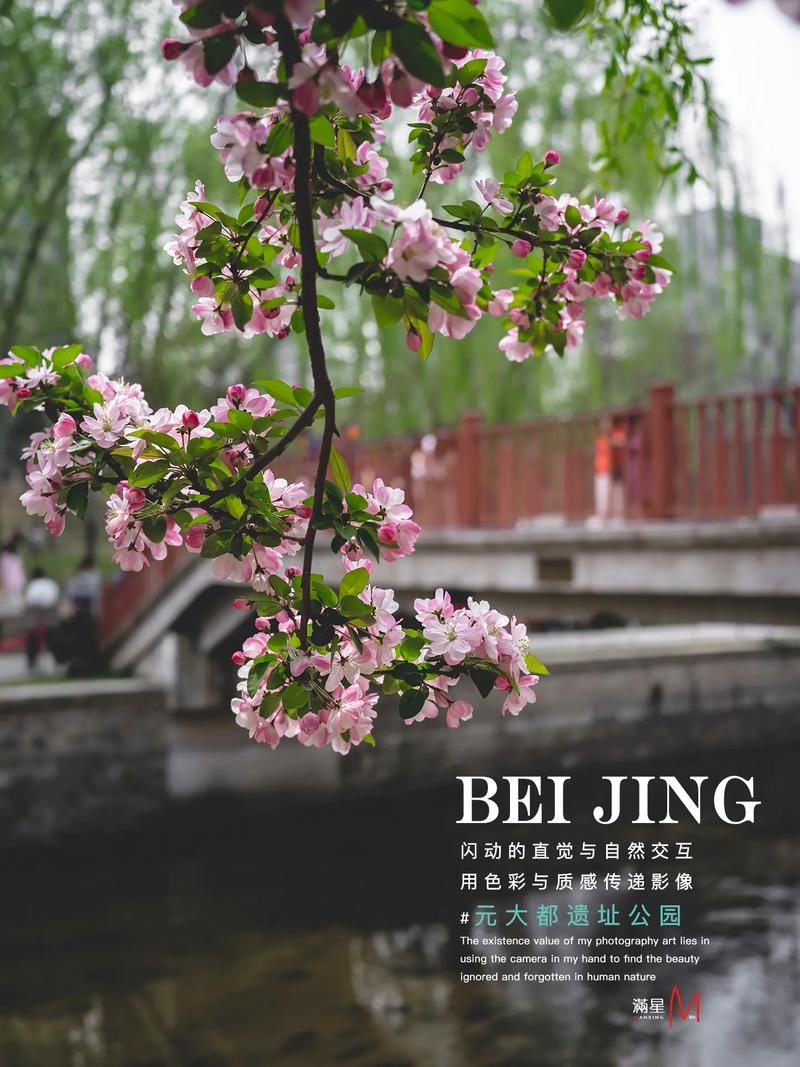 北京海棠花溪开花时间