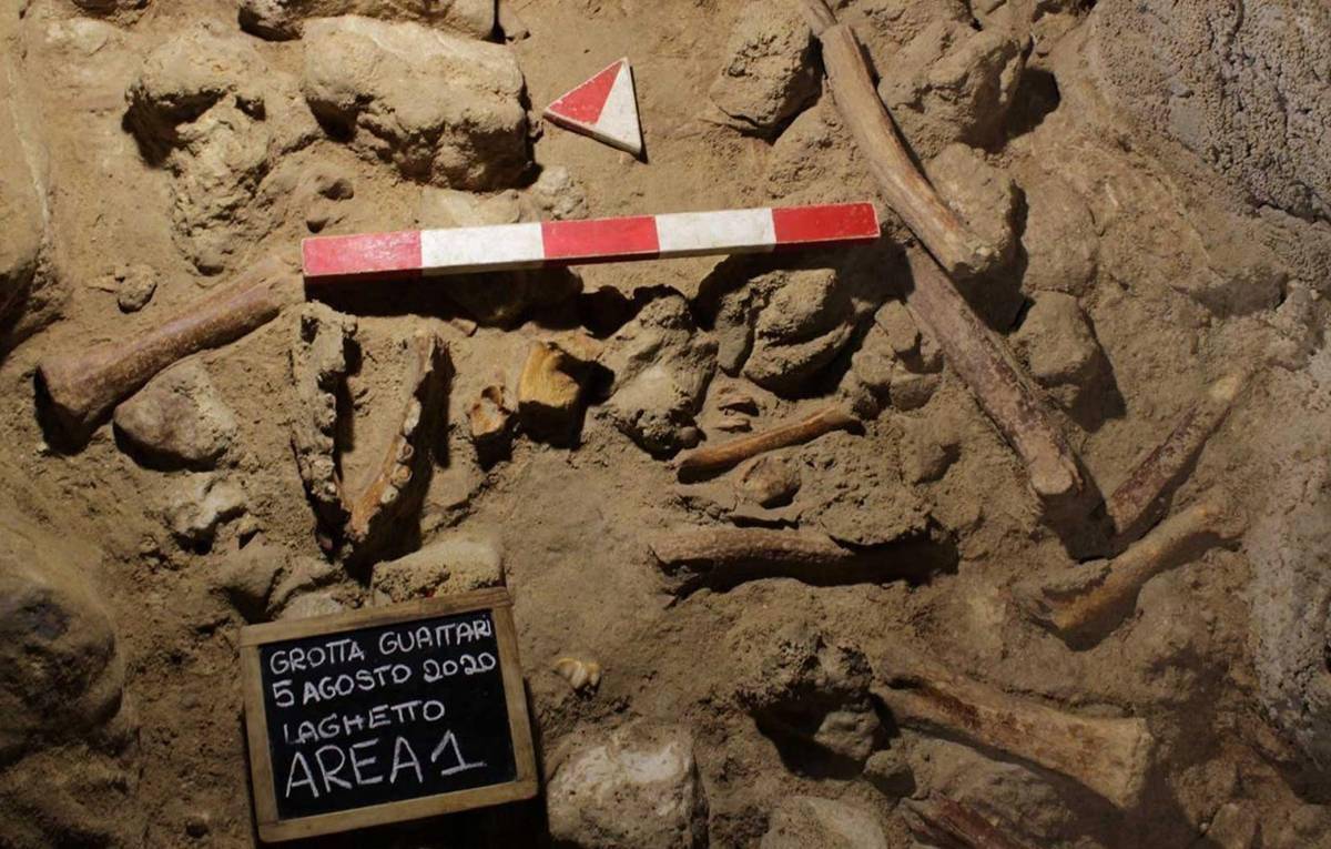 已发现的最古老的人类化石是什么