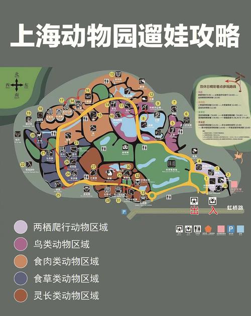 上海野生动物园怎么去