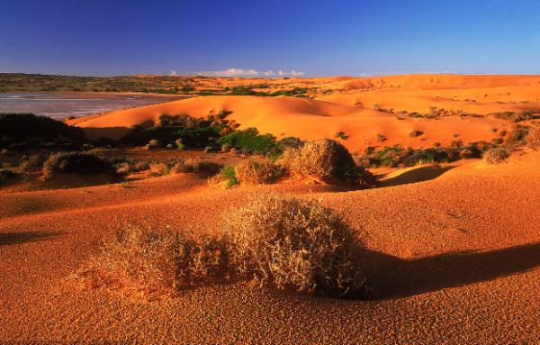 世界最大的沙漠是什么沙漠