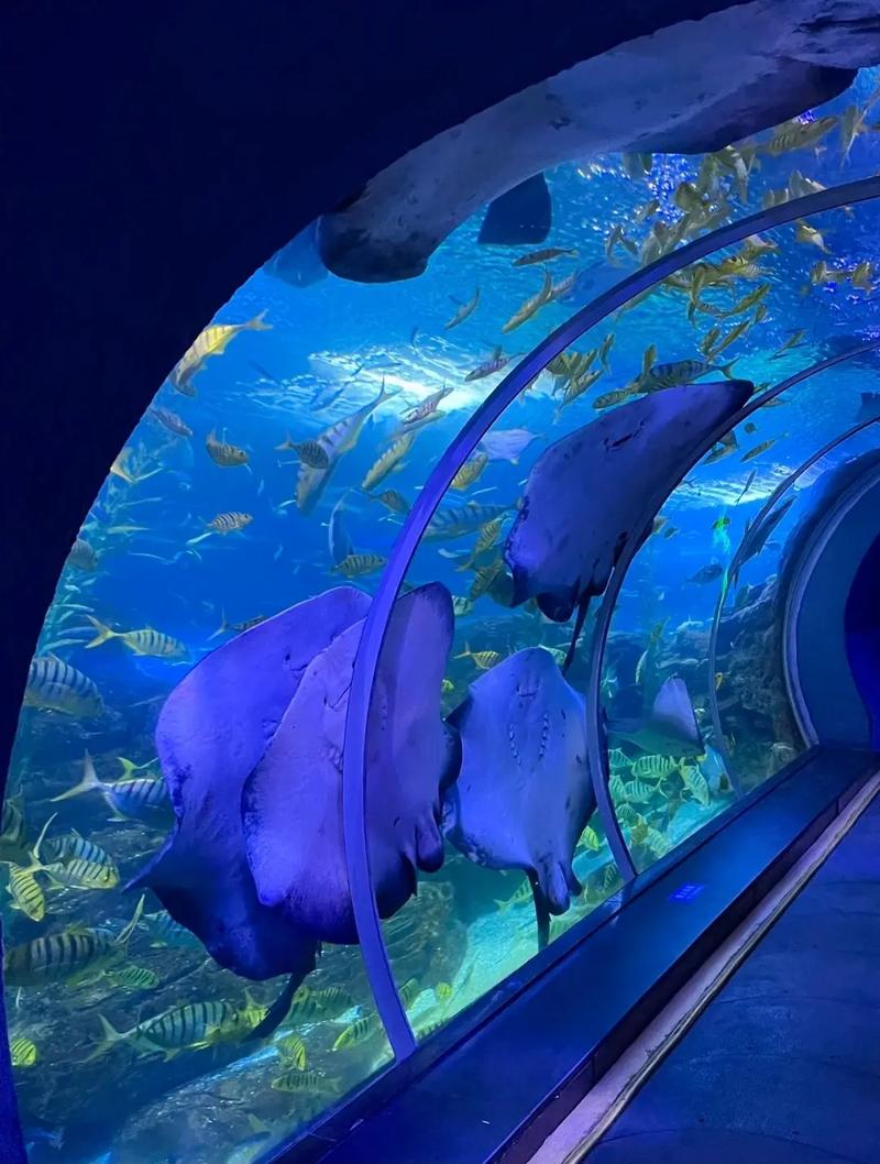 嘉兴海底世界海洋馆什么时候去最好看