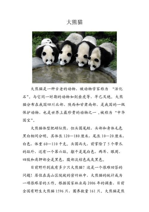 熊猫介绍