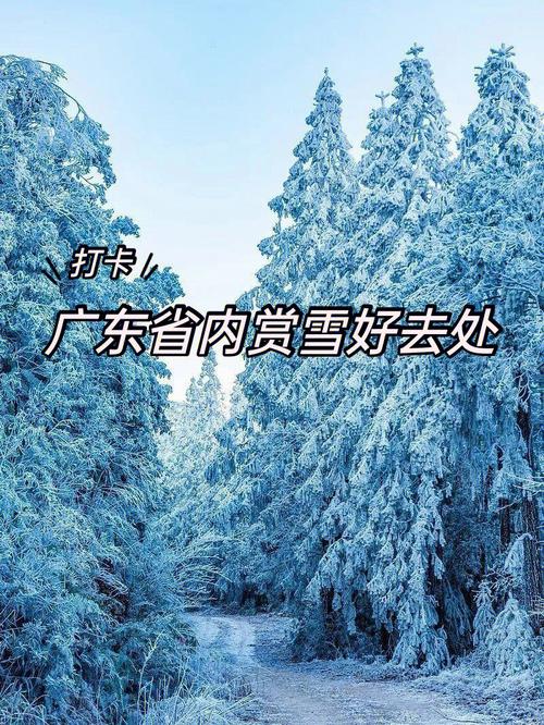 广东出发外省去哪里看雪最方便