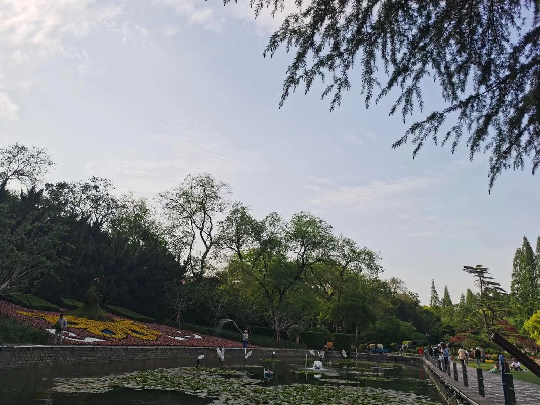 上海中山公园可以过夜吗
