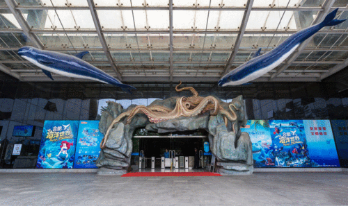 安徽最大的海洋馆排名