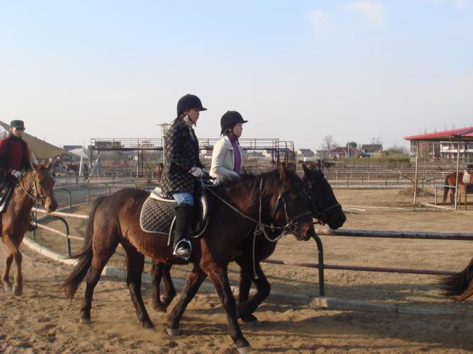 上海地区哪里有可以骑马的