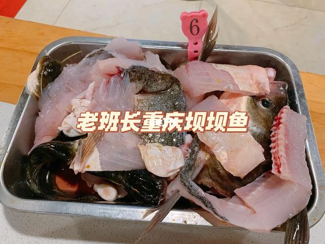 广元哪里买鱼最好吃