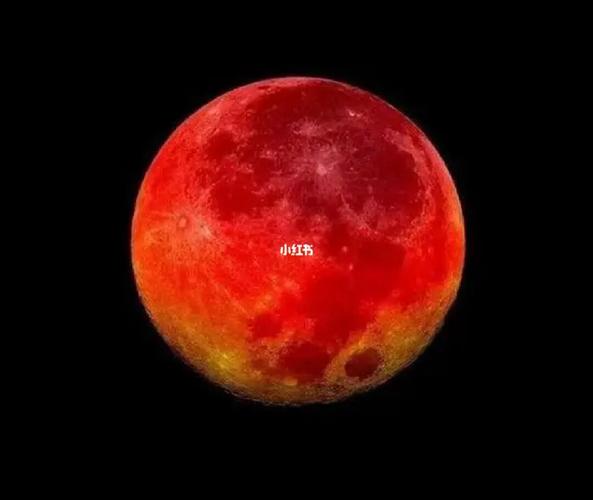 蒙自看红色月亮的时间