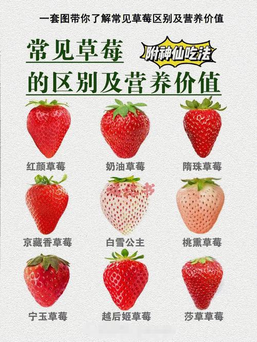 为什么人们把草莓称作神奇之果