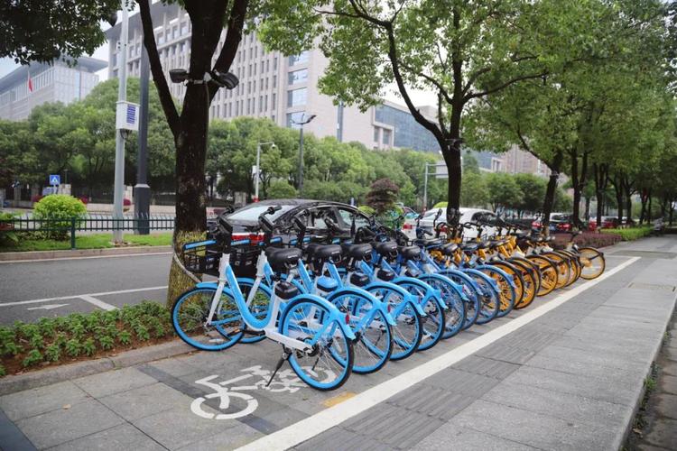 华侨公园可以停共享单车吗