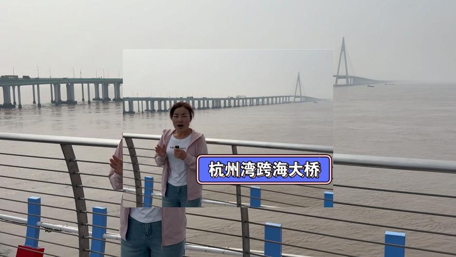 杭州湾跨海大桥可以停车吗