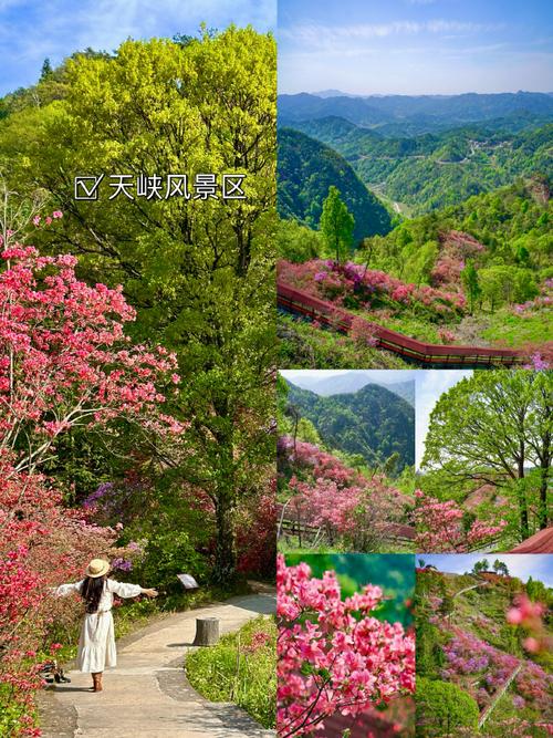 郑州最适合踏青赏花爬山的地方