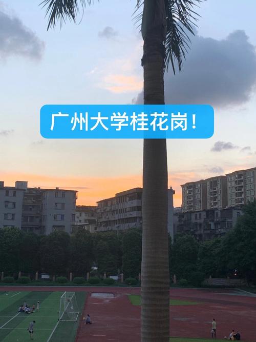 广州大学的分校一共有多少间