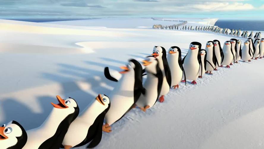 马达加斯加的企鹅的真实原型
