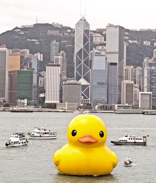 香港小黄鸭是干什么的