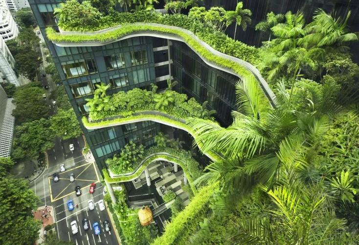 新加坡是如何能成为 亚洲最绿色城市