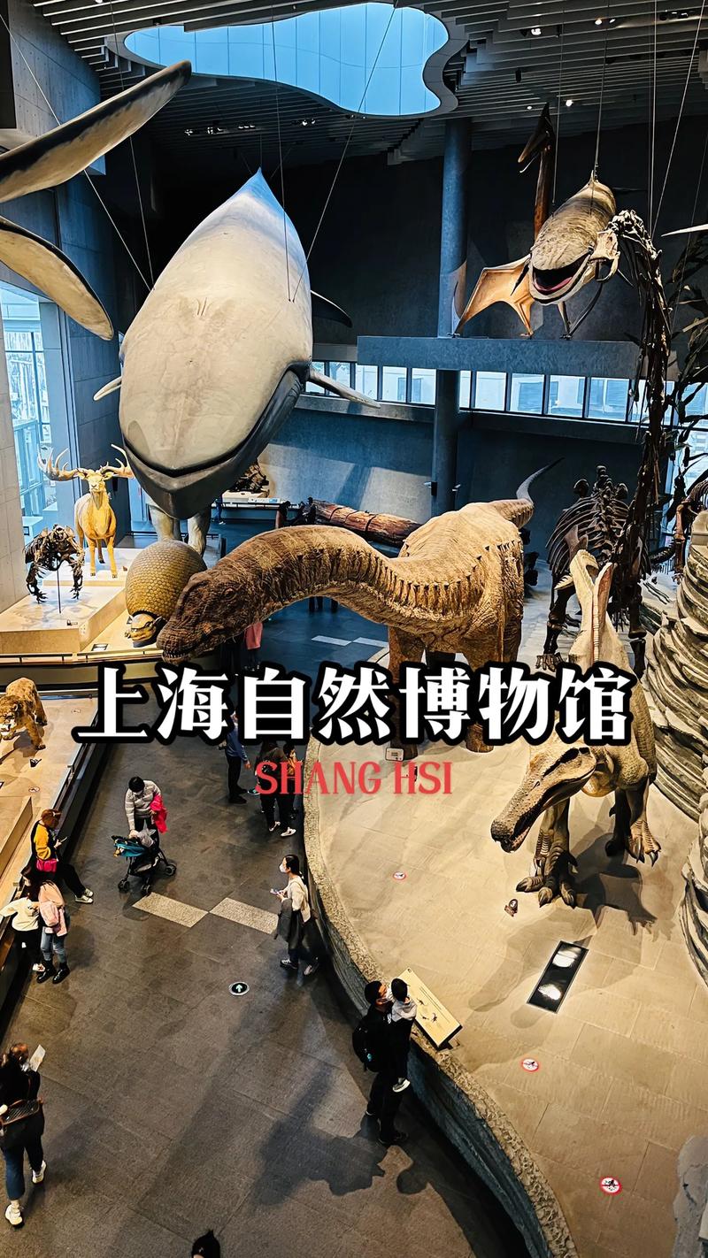上海自然博物馆两天一夜游攻略