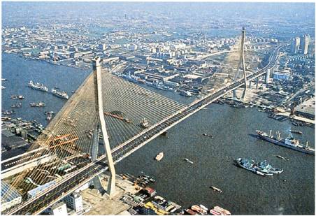 上海杨浦大桥建成于几年