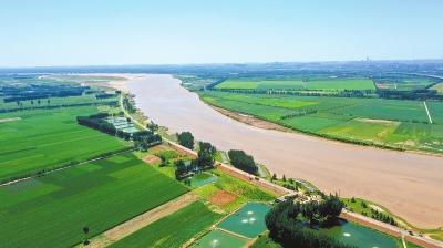 濮阳黄河大堤哪段风景最好