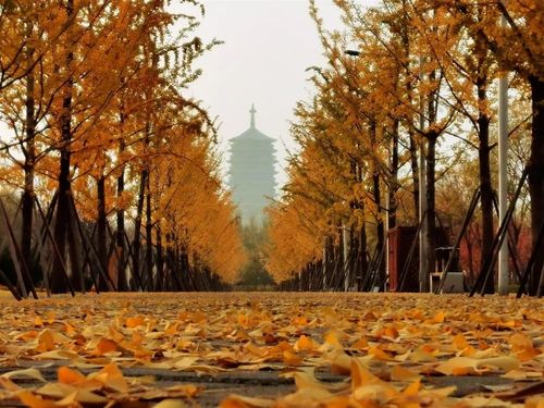 北京卢沟桥街道附近有什么景区