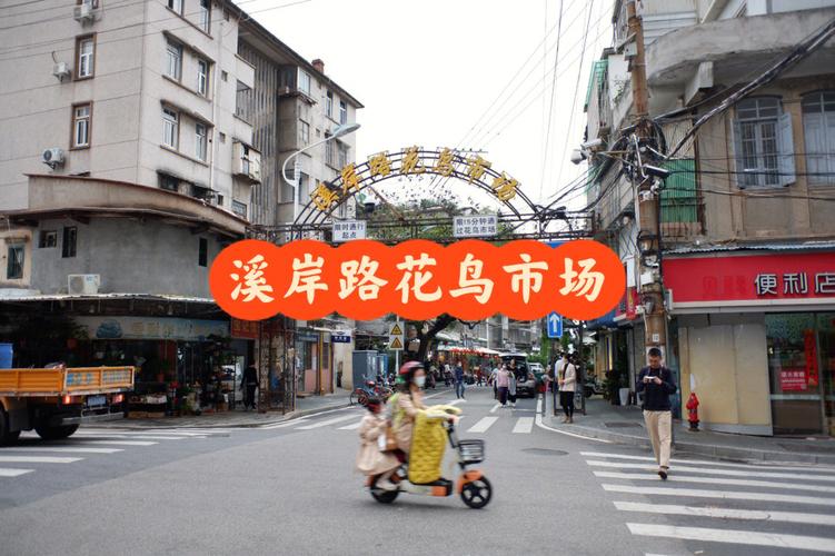 杭州最大的花鸟市场在哪