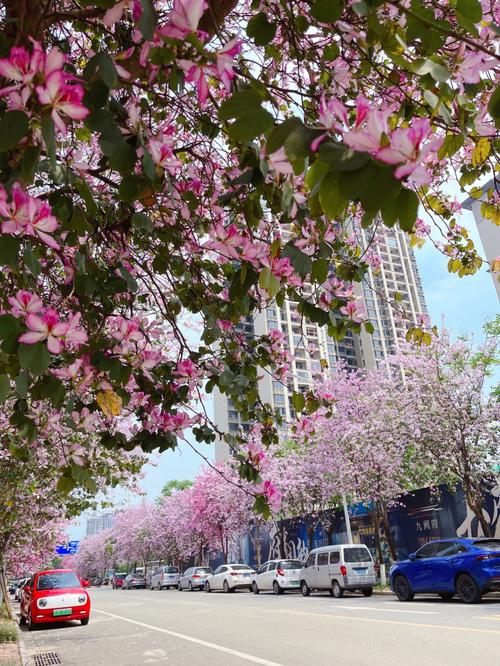 柳州春天的景色描写