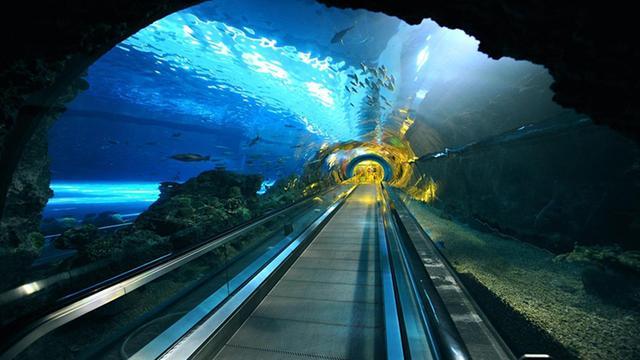 世界最长海底隧道在那