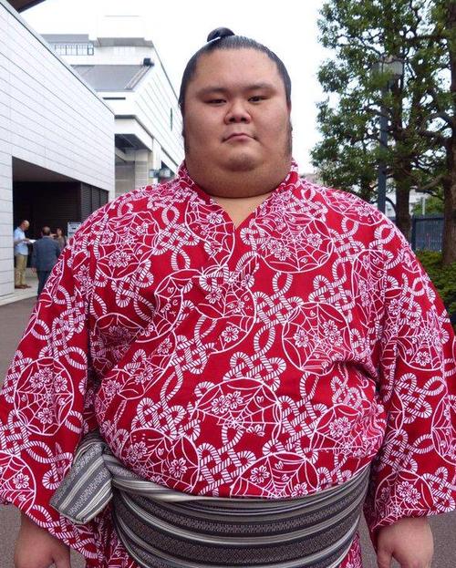 日本历史上最伟大的相扑运动员