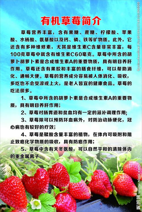 建德红草莓品种介绍