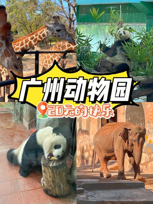 深圳动物园和广州动物园哪个好