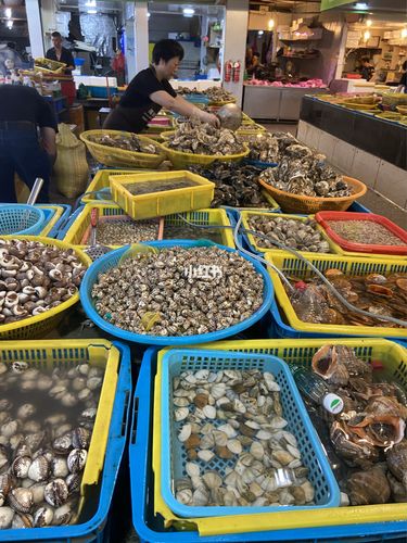 嵊泗最便宜的买海鲜地方