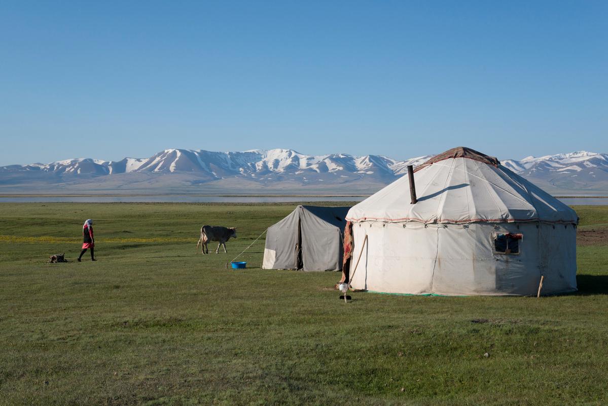 内蒙人可以定居蒙古吗