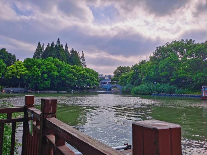南京为什么有白鹭公园