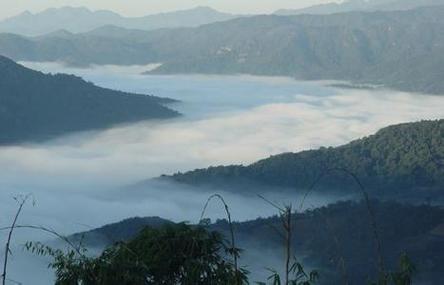 云南的什么自然保护区是1980年以来发现最多的