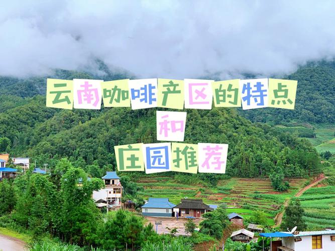 云南保山咖啡第一村是啥气候类型