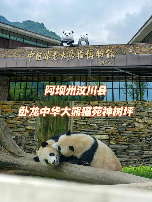 卧龙中华大熊猫基地可以开车进去吗