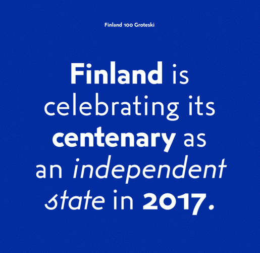 finland是什么品牌