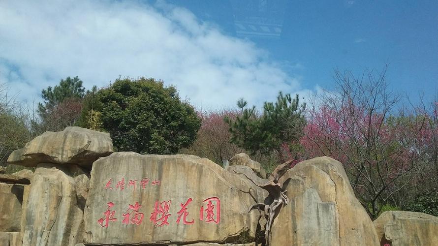 龙岩永福樱花园旅游景点