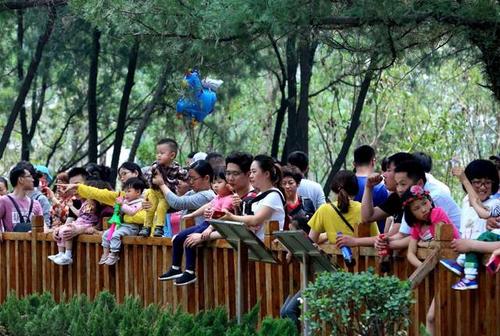 济南动物园门票是多少 是否可用学生证
